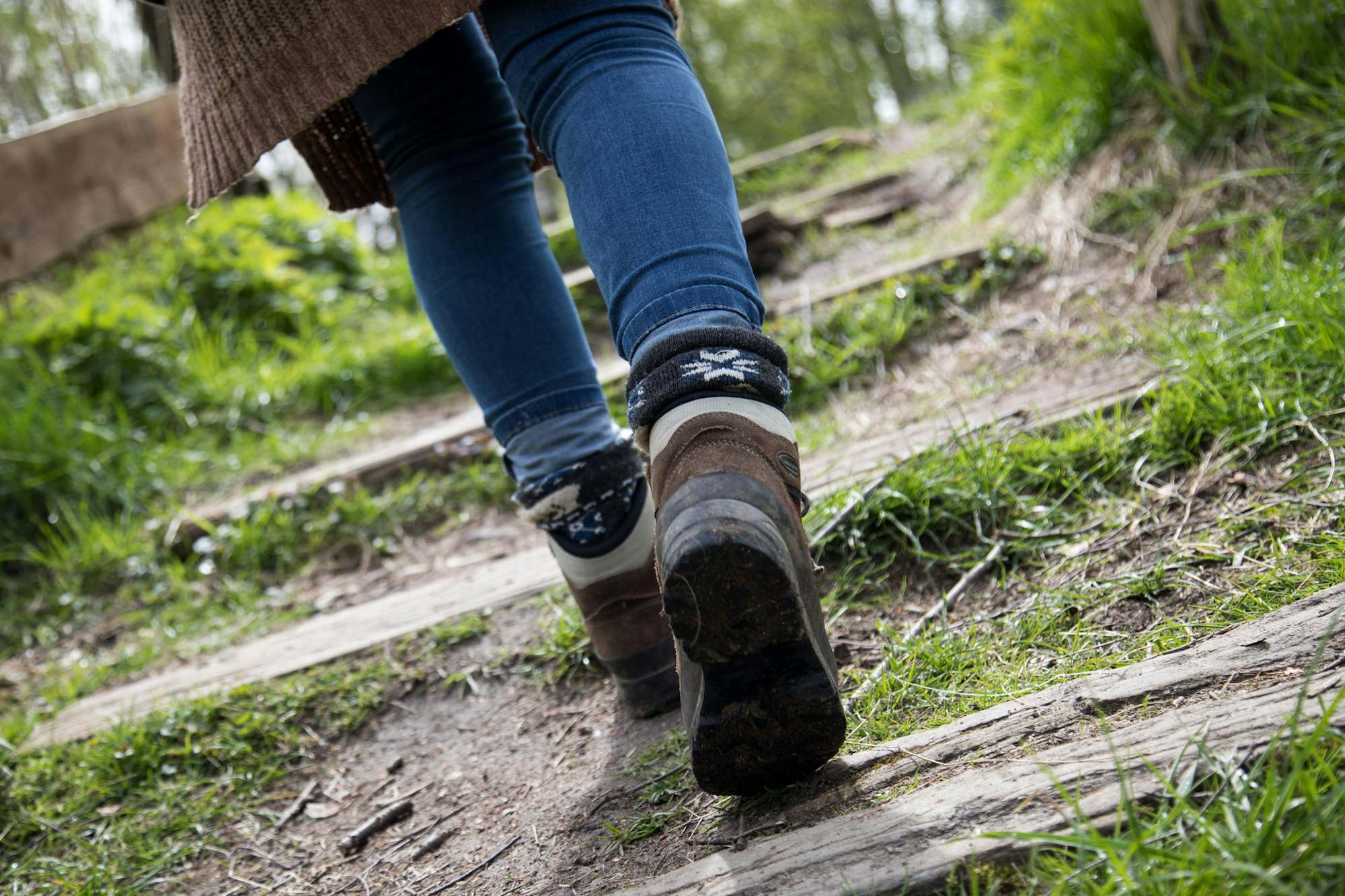 ausgebüxte hunde-eins-2021-dpa
