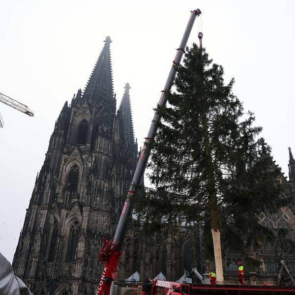 nab211112_Baum_Weihnachtsmarkt_06