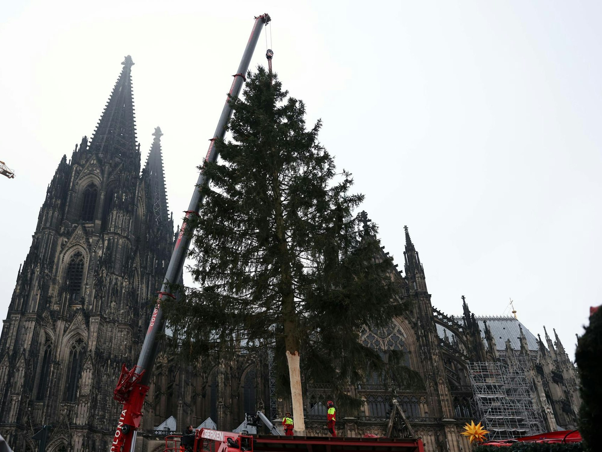 nab211112_Baum_Weihnachtsmarkt_06