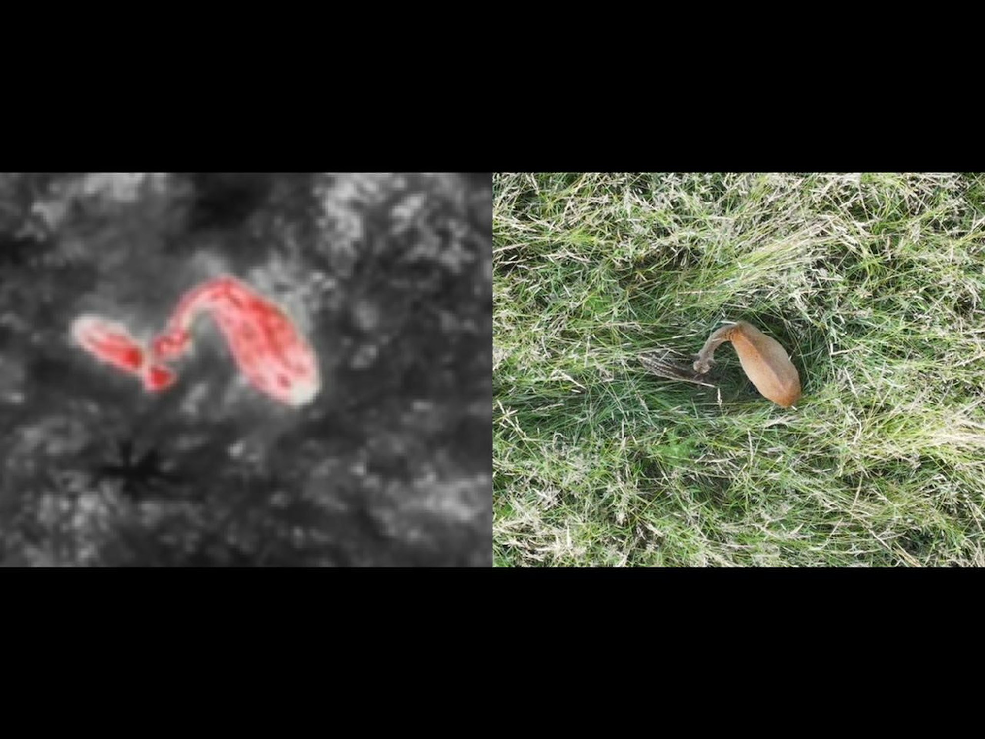 A_kitz Marc Schumann