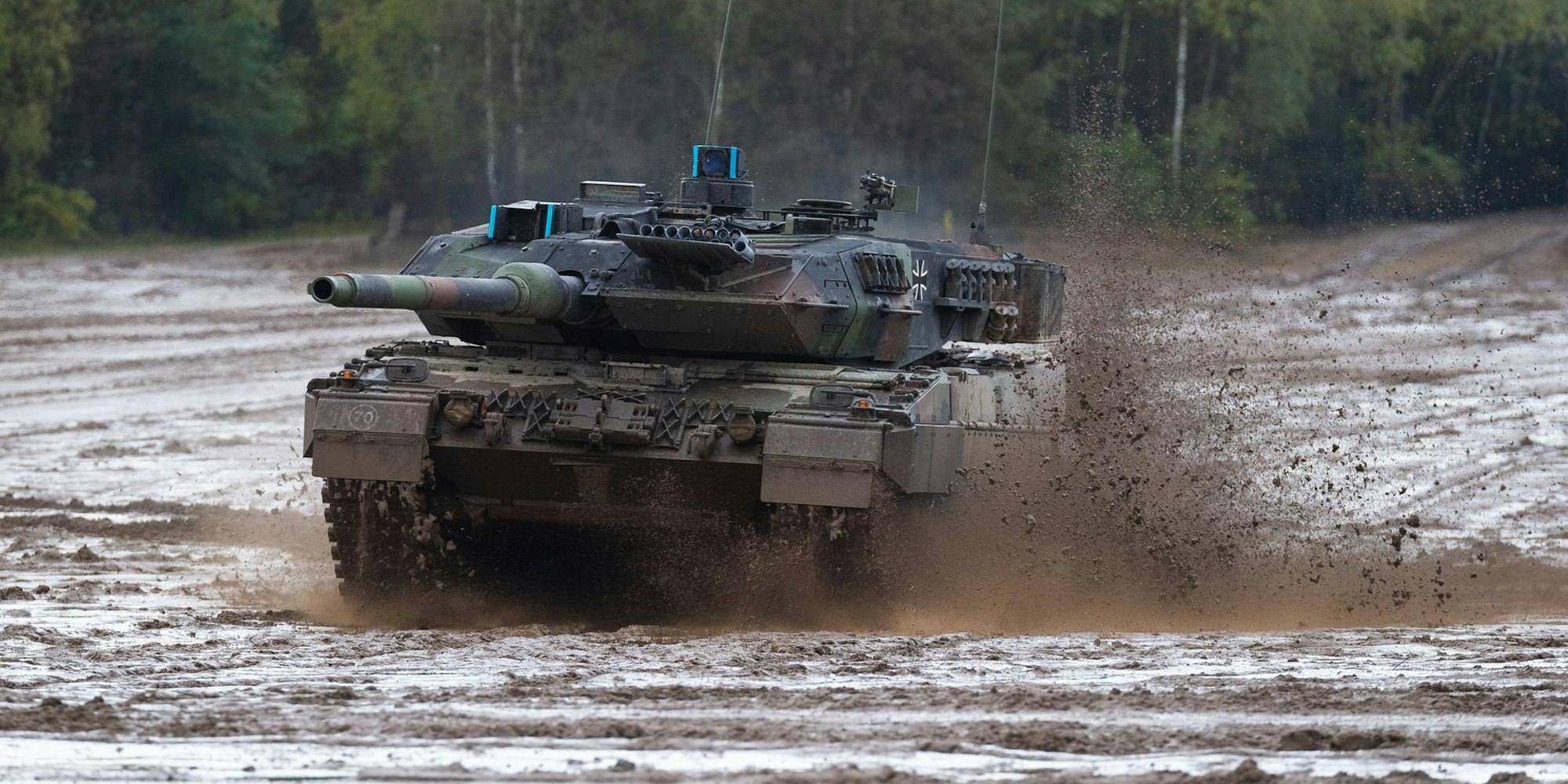 Leopard Panzer