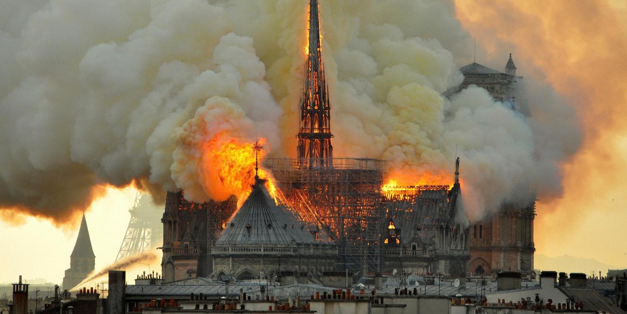 notre dame Fenster