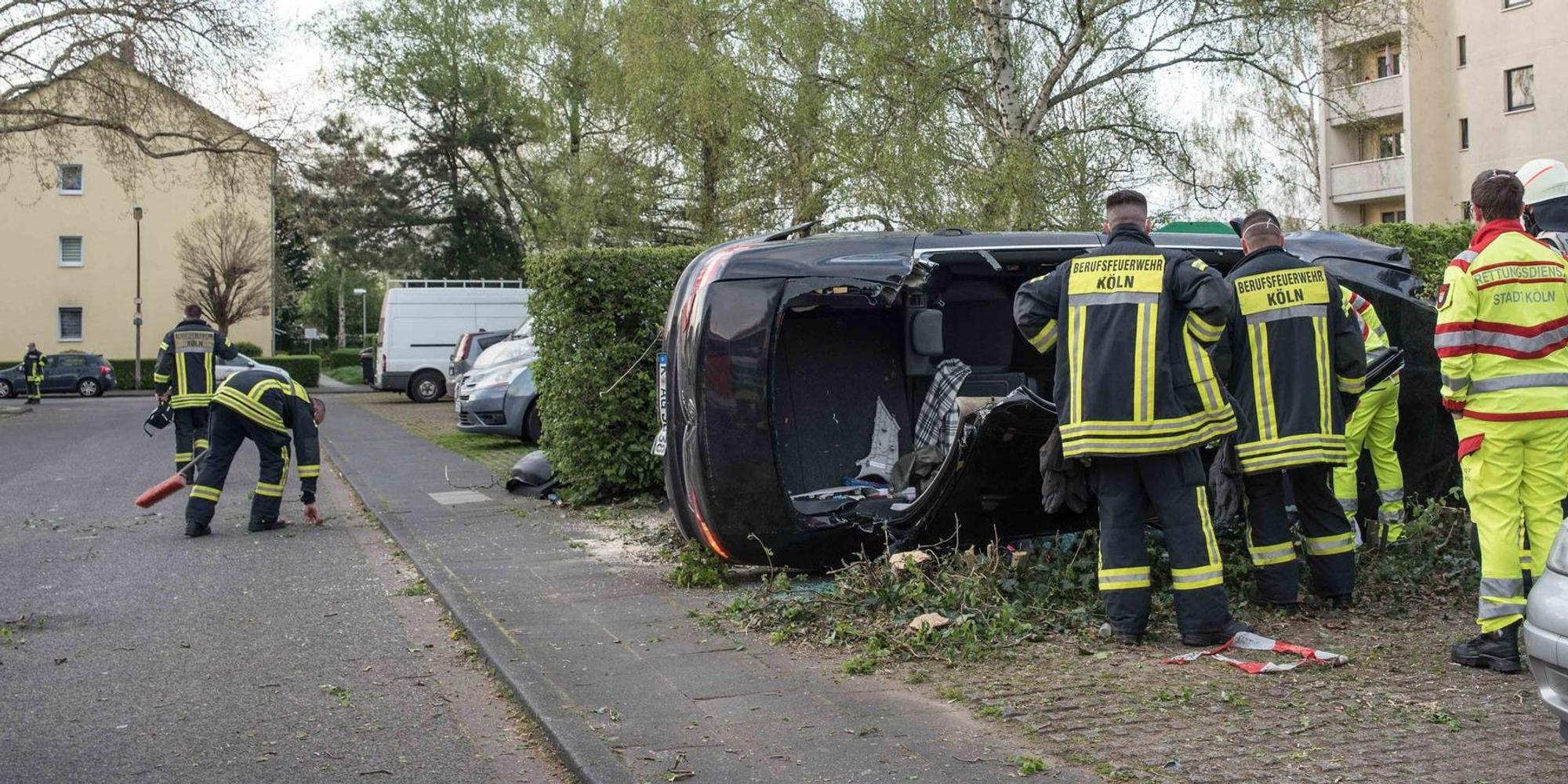 Neuer Inhalt (1)