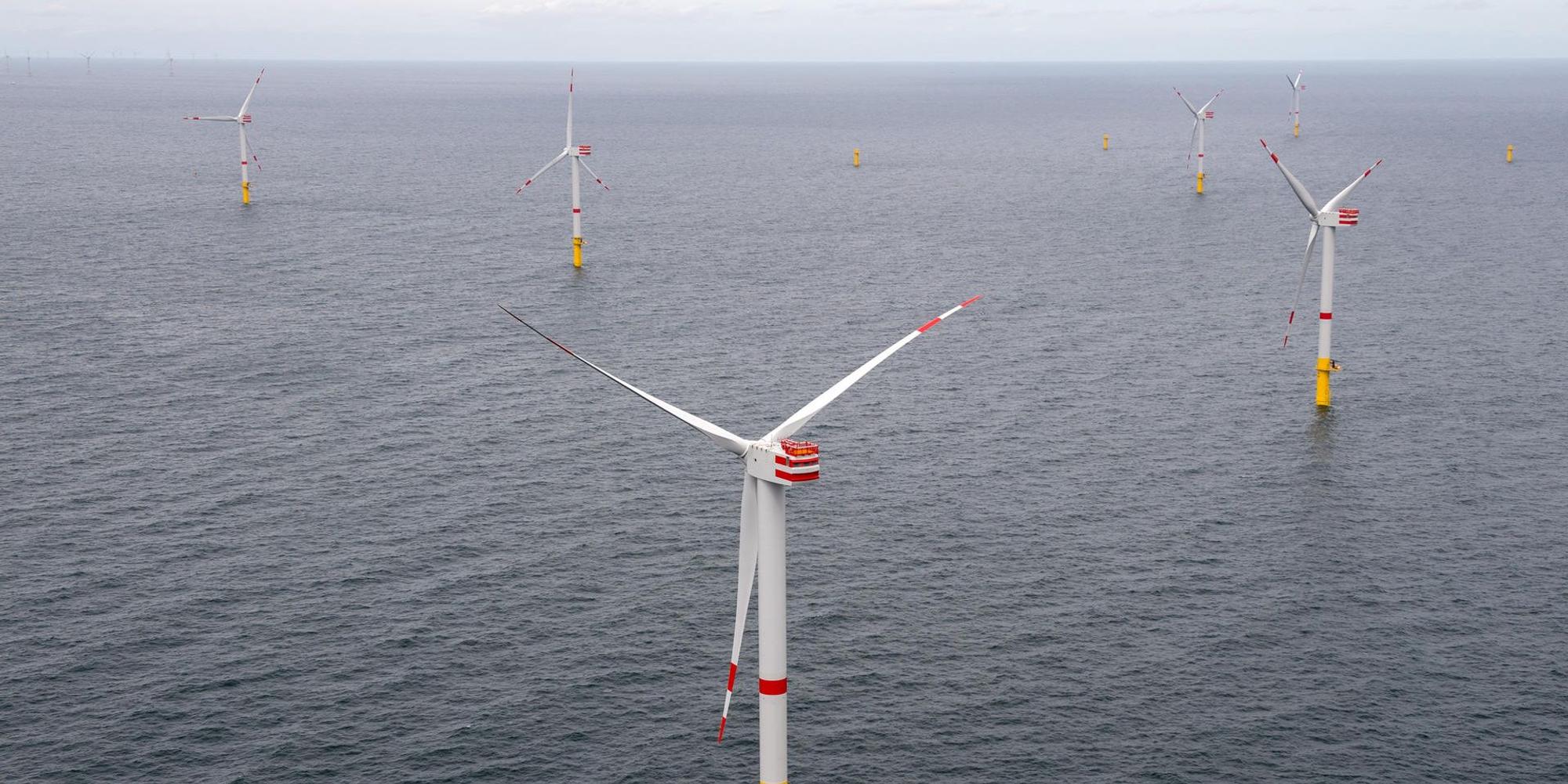 Windräder eines Offshore-Windparks