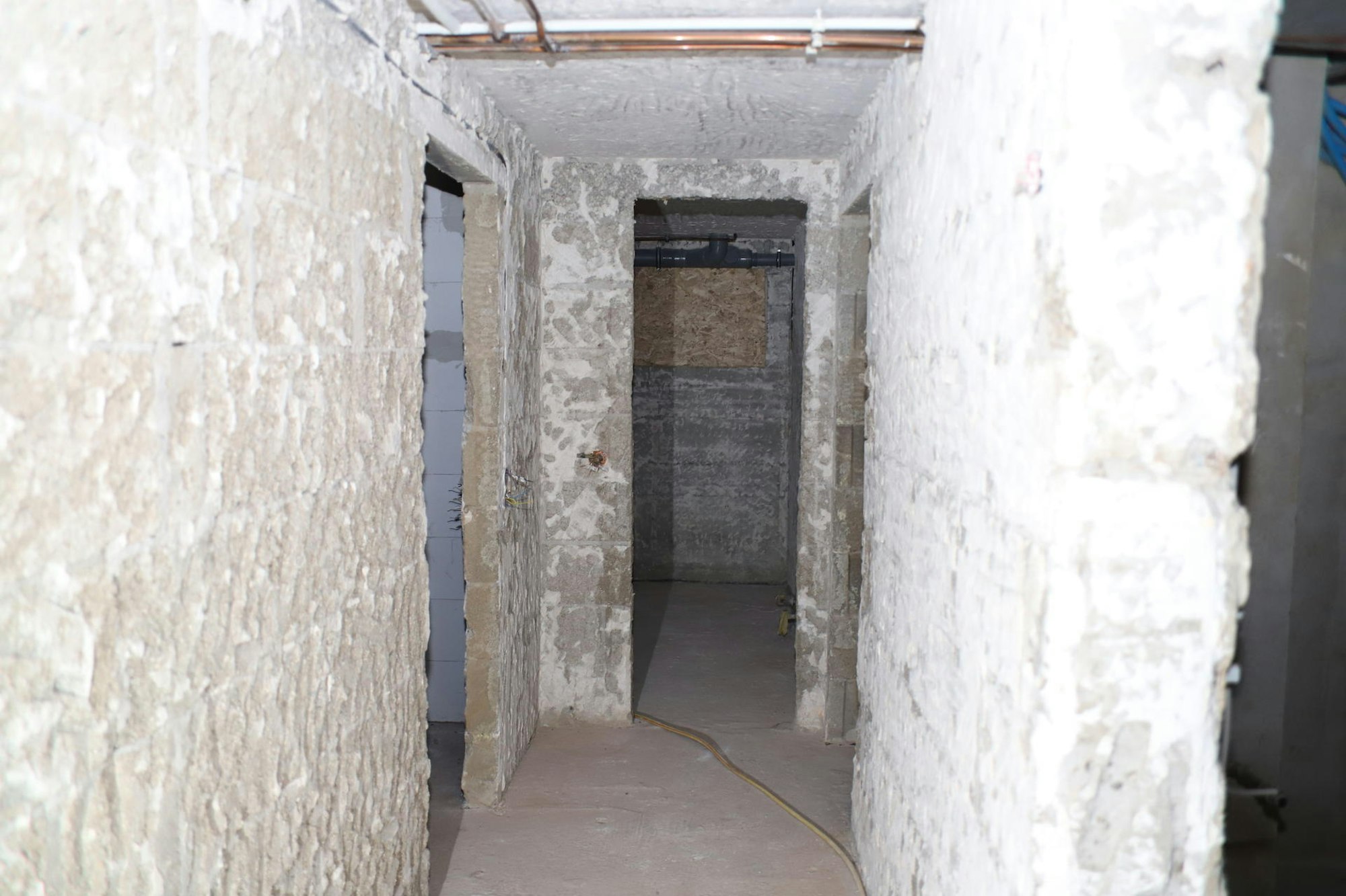 Keller_Hoffmann_Lanzenbach