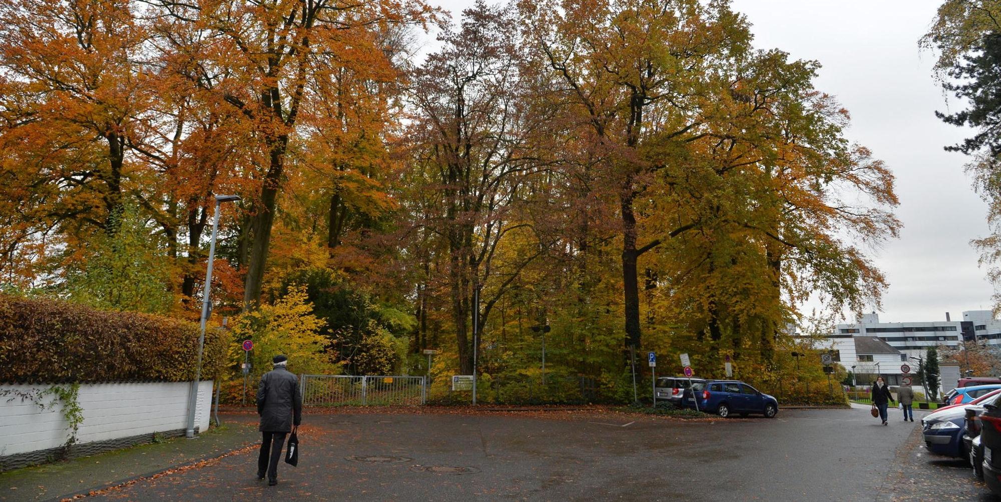 Arlinghaus_Marien-Krankenhaus_Bergisch Gladbach_2