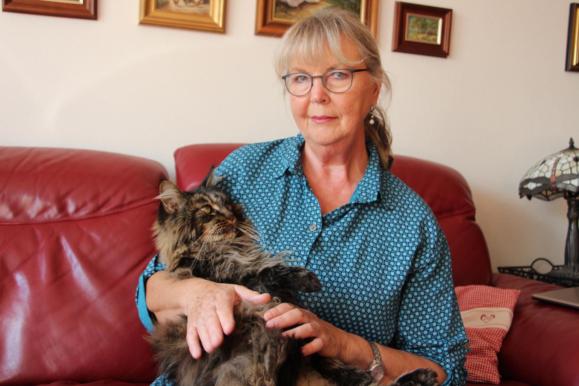 Katze Waltraud Schragen