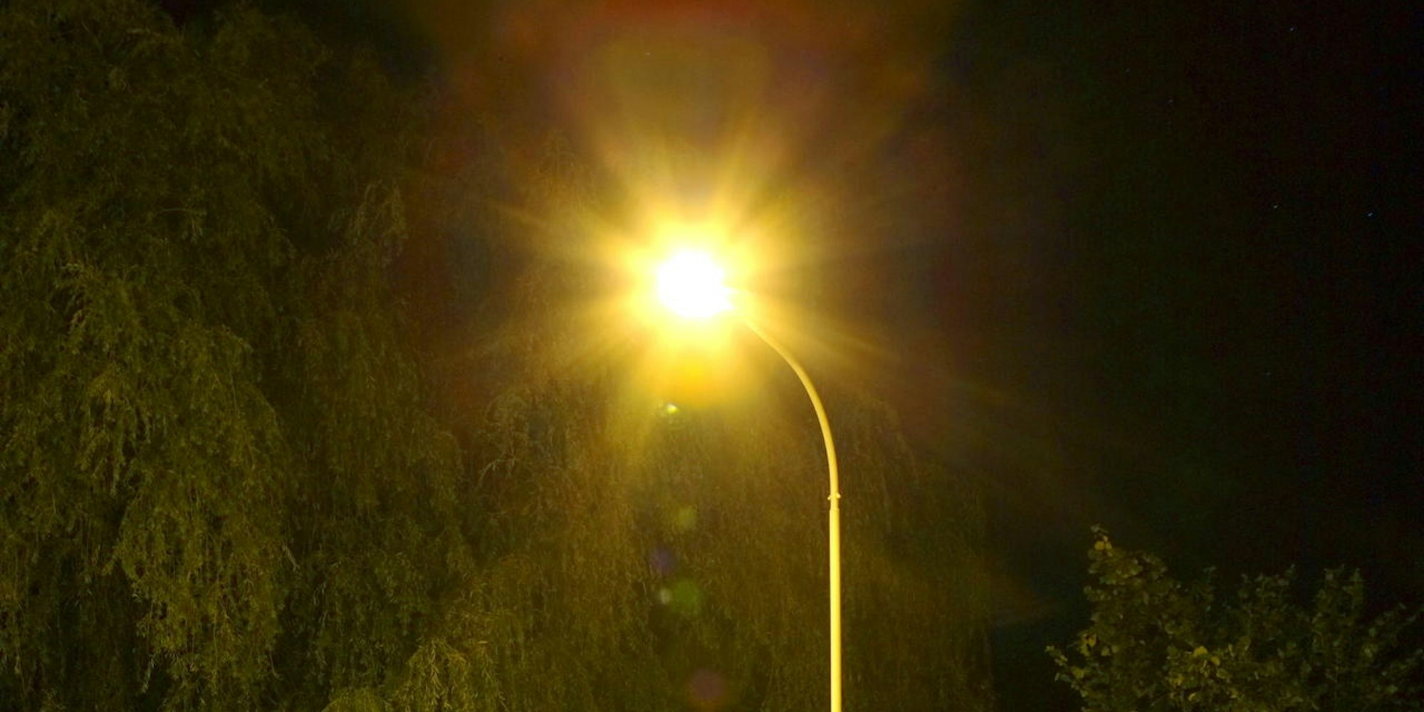 MDS-KR-2011-04-07-laterne_03._0004ad00adc042