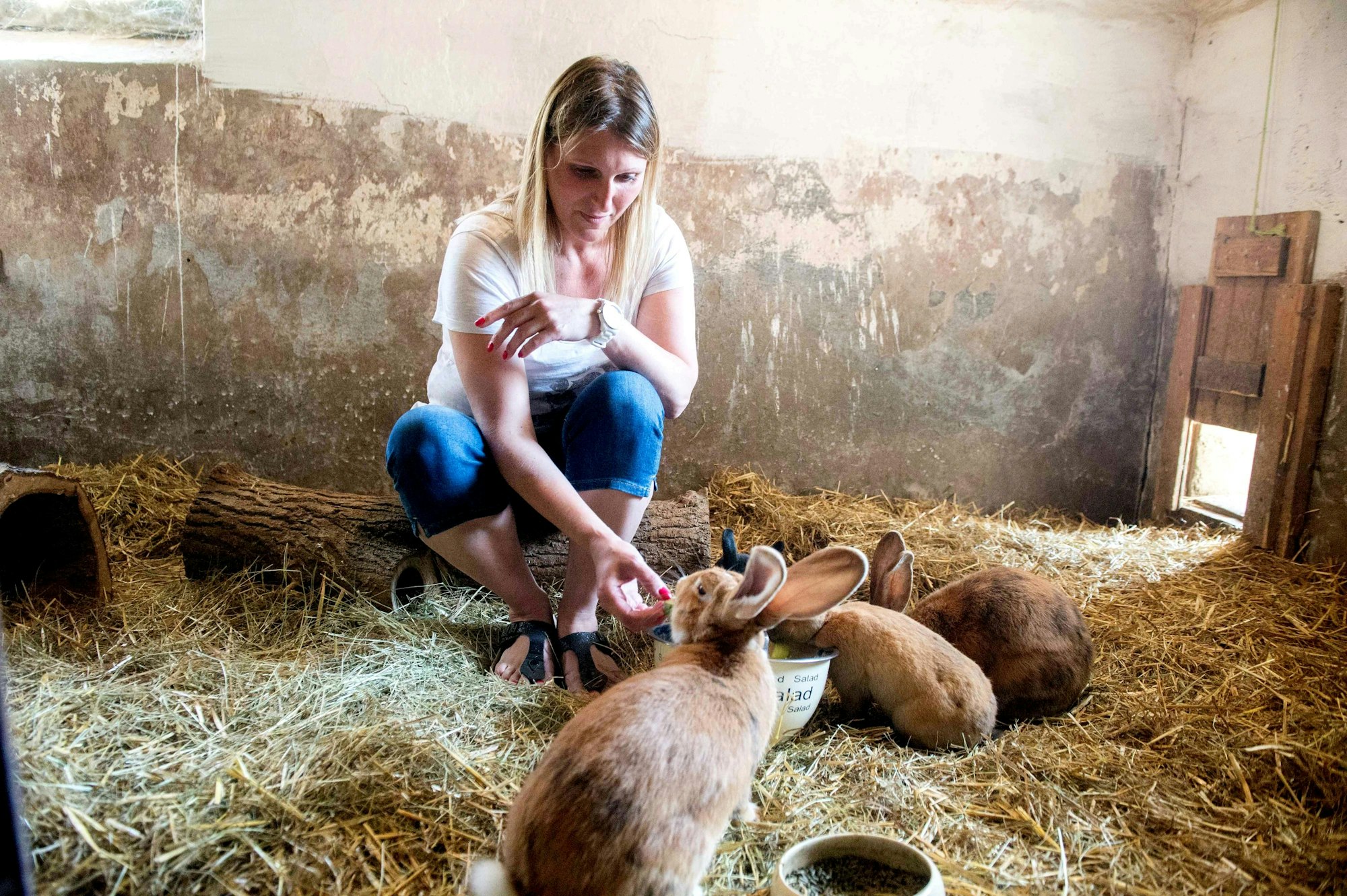 ratsheimerhof_erlebnis_paeda-4