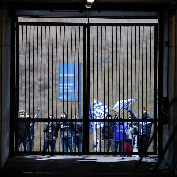Schalke Fans