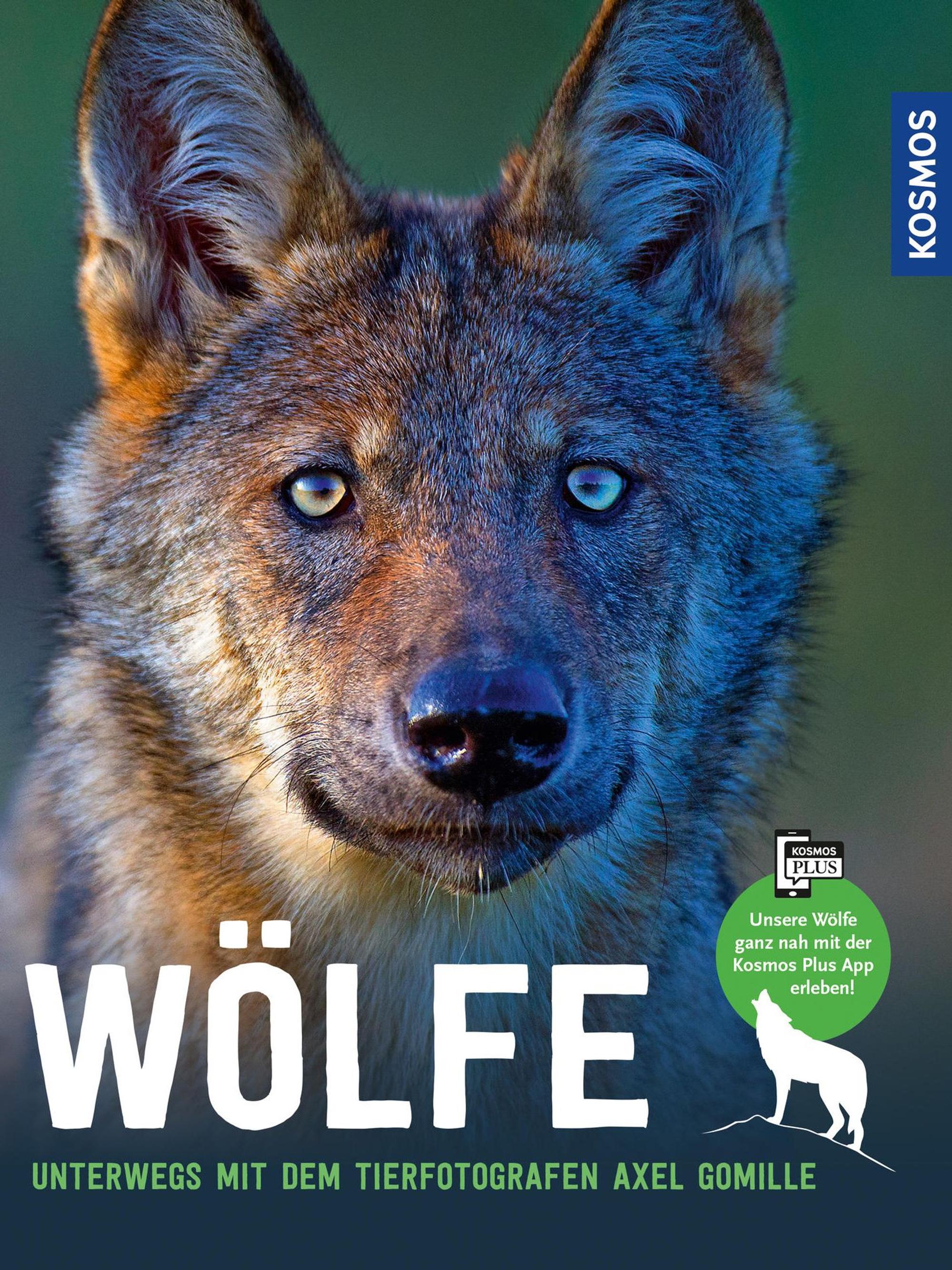 16987-2_Gomille_Woelfe_n