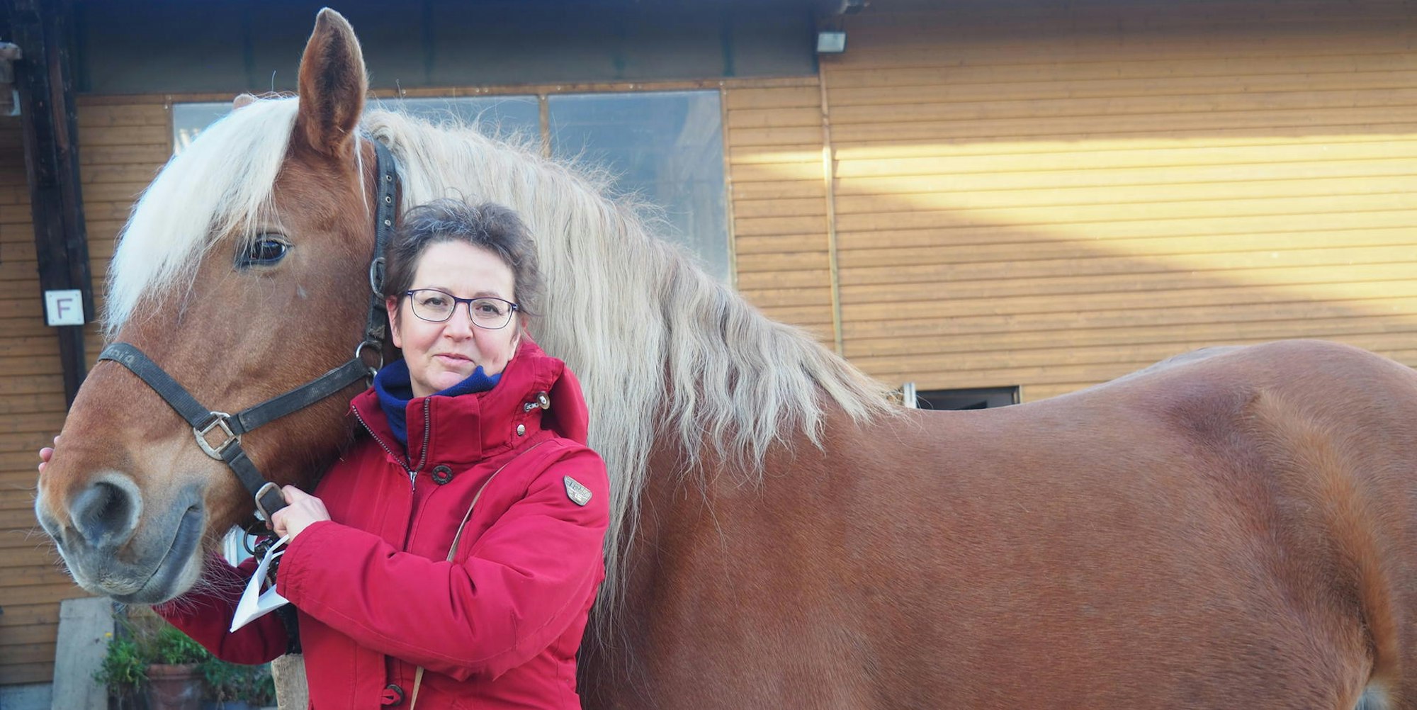 sues Reiten 2 Martina Wagner und Tania