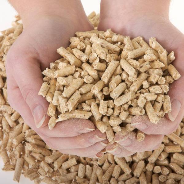 Pellets zum Heizen