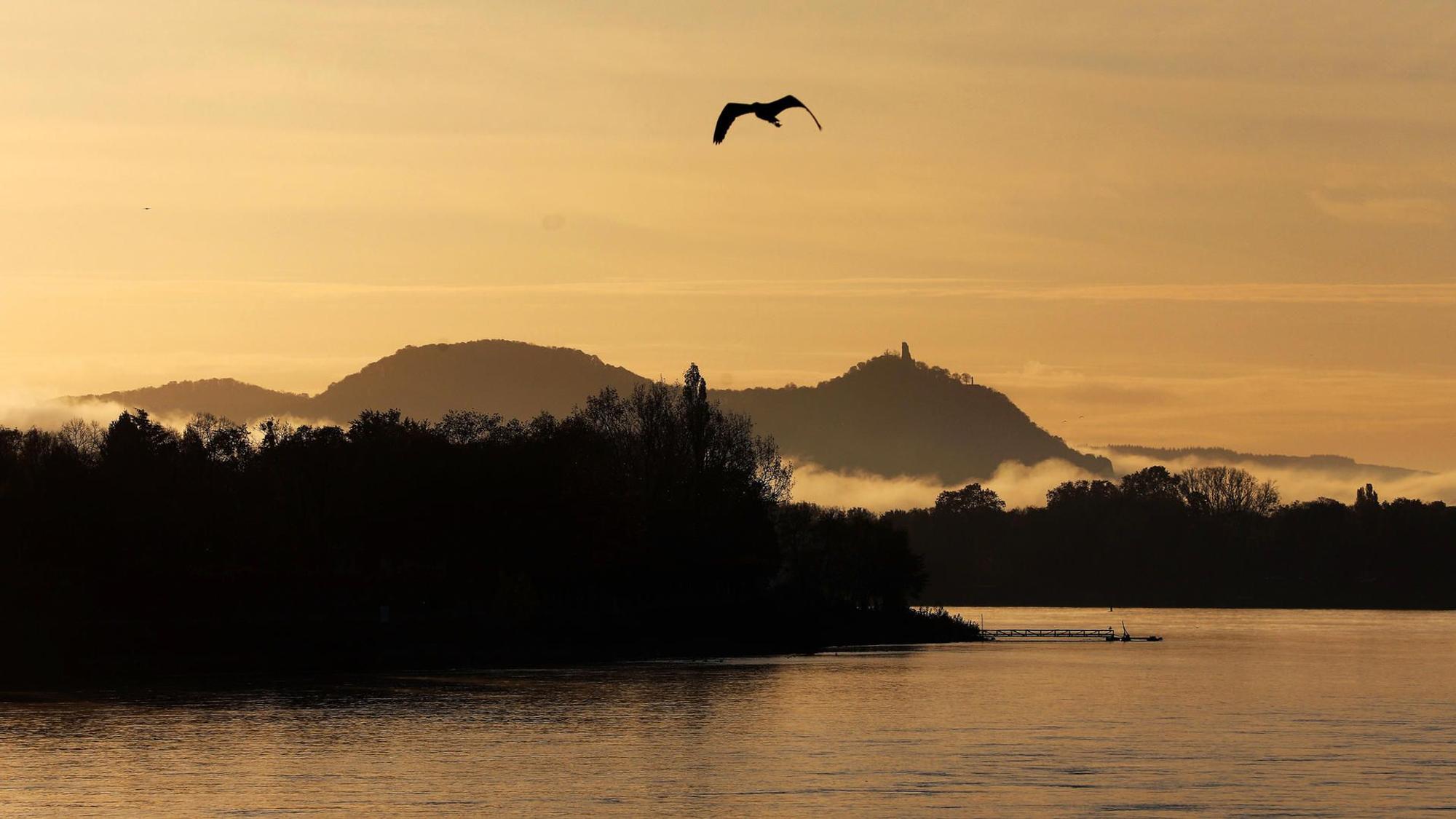 Nebelschwaden vor Bergen des Siebengebirges