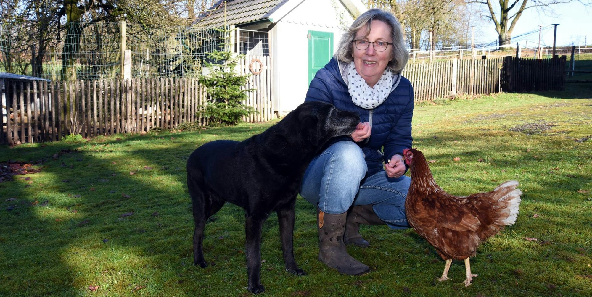 Huehner_Schneppenhurth