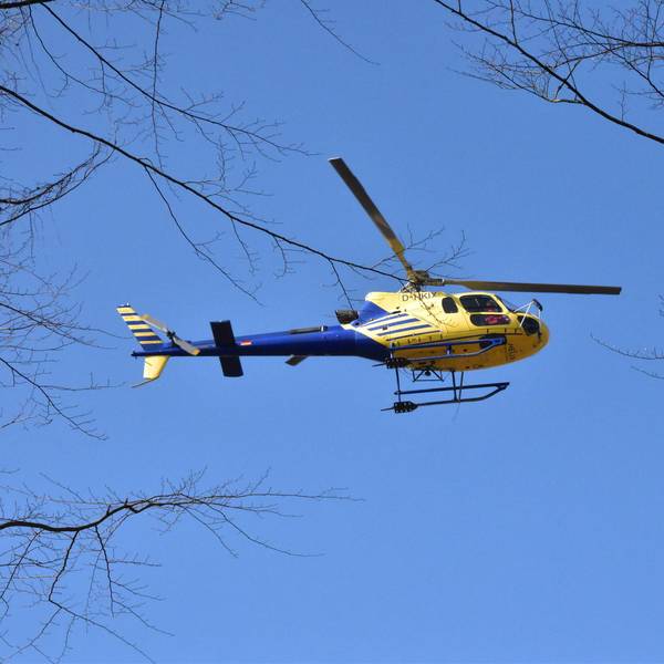 Waldaussaat_per_Hubschrauber