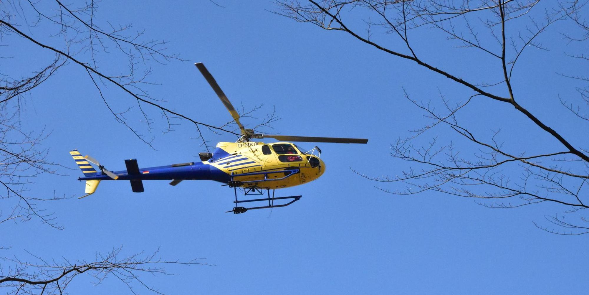 Waldaussaat_per_Hubschrauber