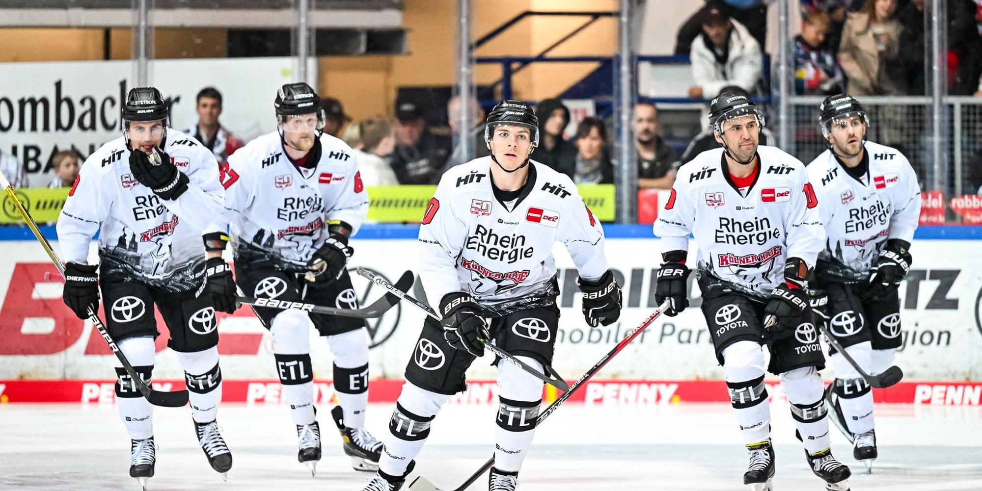 Kölner Haie Iserlohn