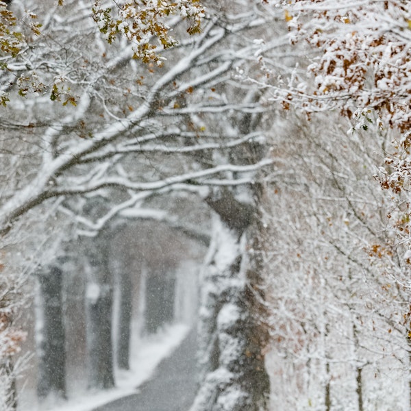 Anhärten_SportimFreien_dpa