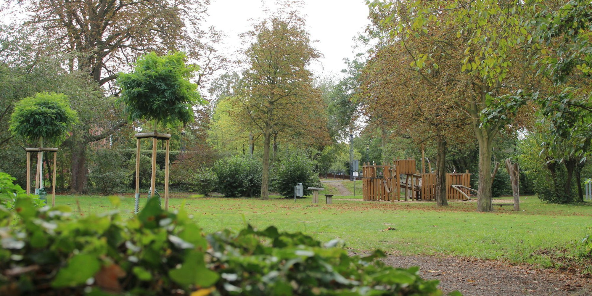 bg-gruene-lunge_(1)a