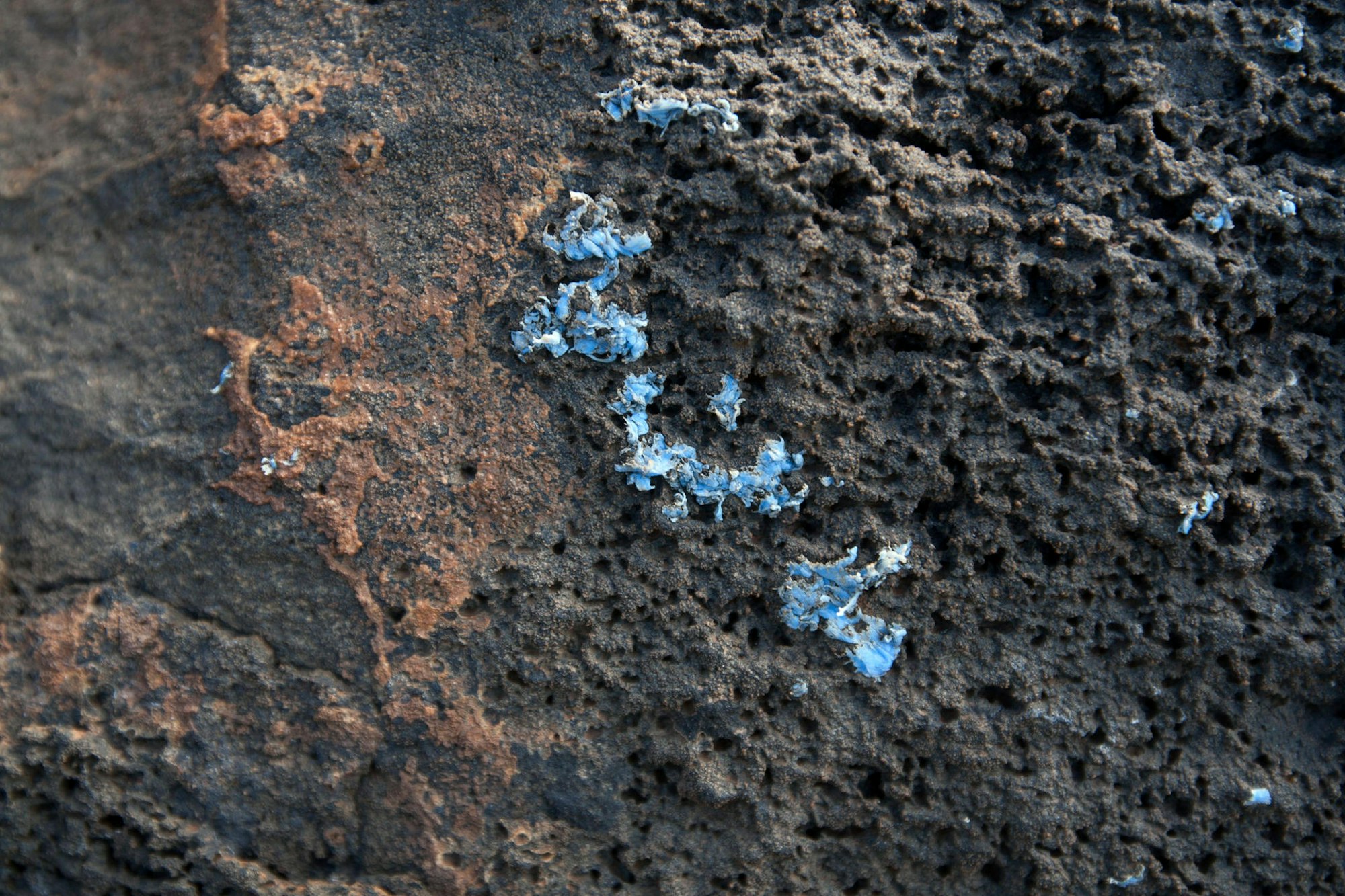 Plastikruste_Gestein_Madeira_2