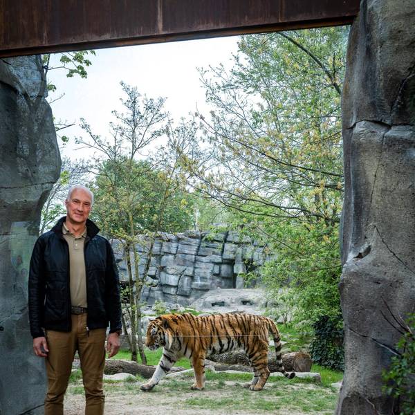 cob_20210430_Kurator_Alexander_Silwa_Zoo_2