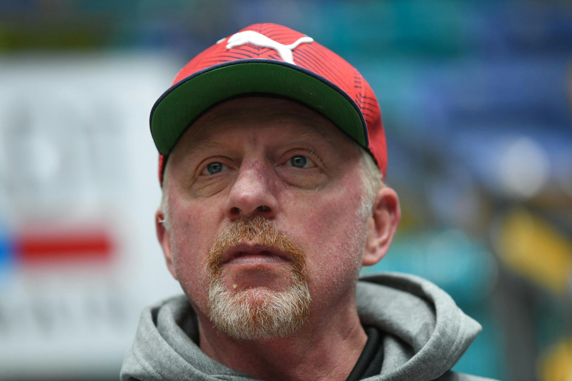 Boris Becker dpa neu