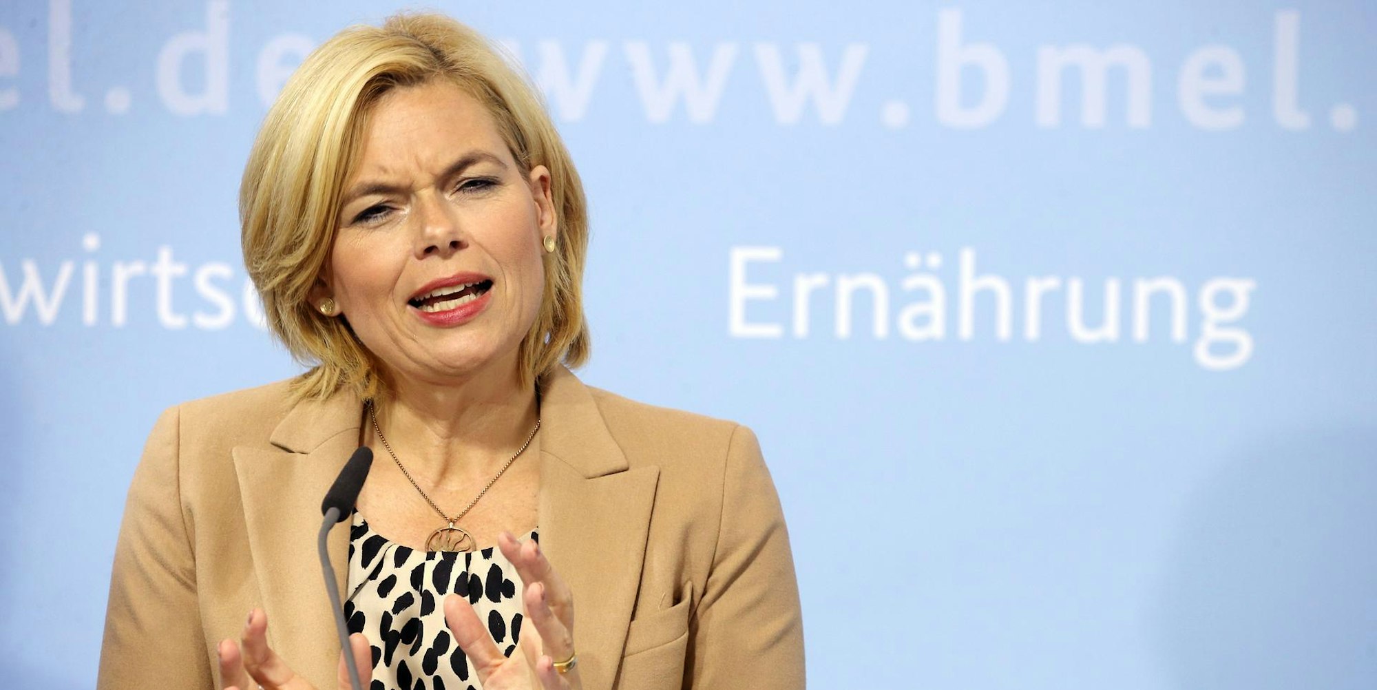 Julia Klöckner 121019