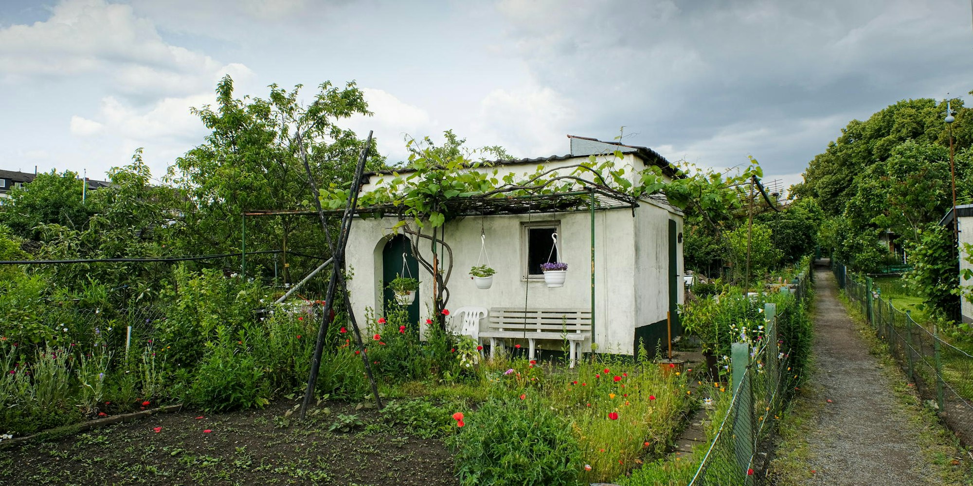 20190606_Schrebergaerten_HGM_08
