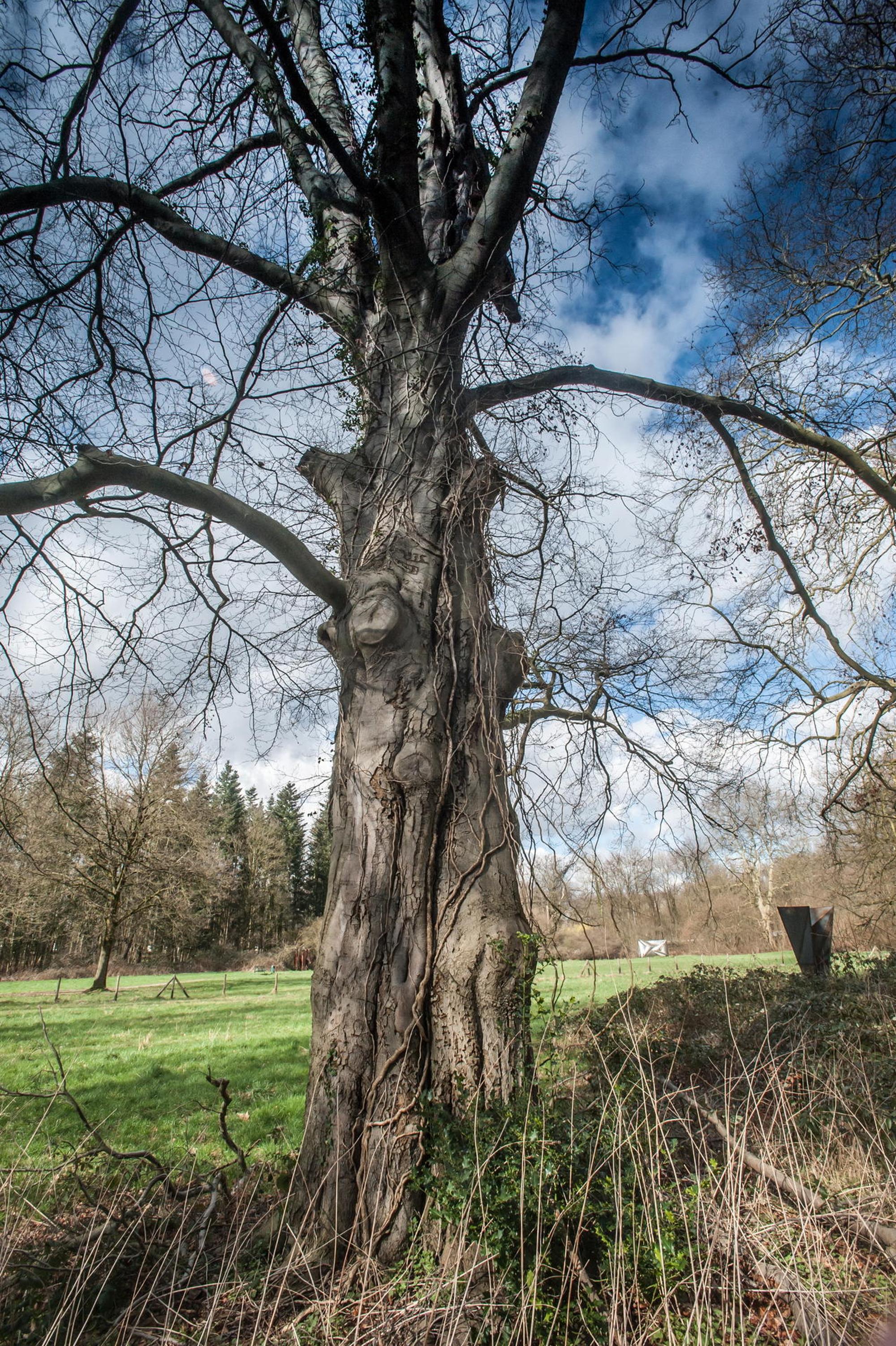 leverkusen-schlosspark-ALF_8506