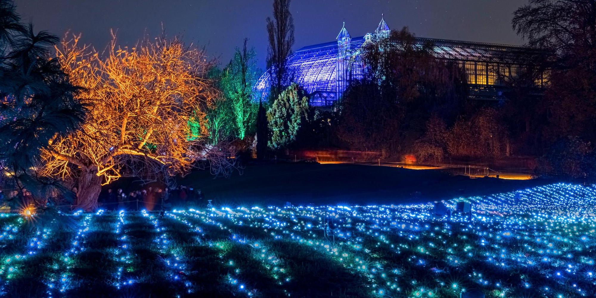Christmas_Garden_Field_of_Lights__2