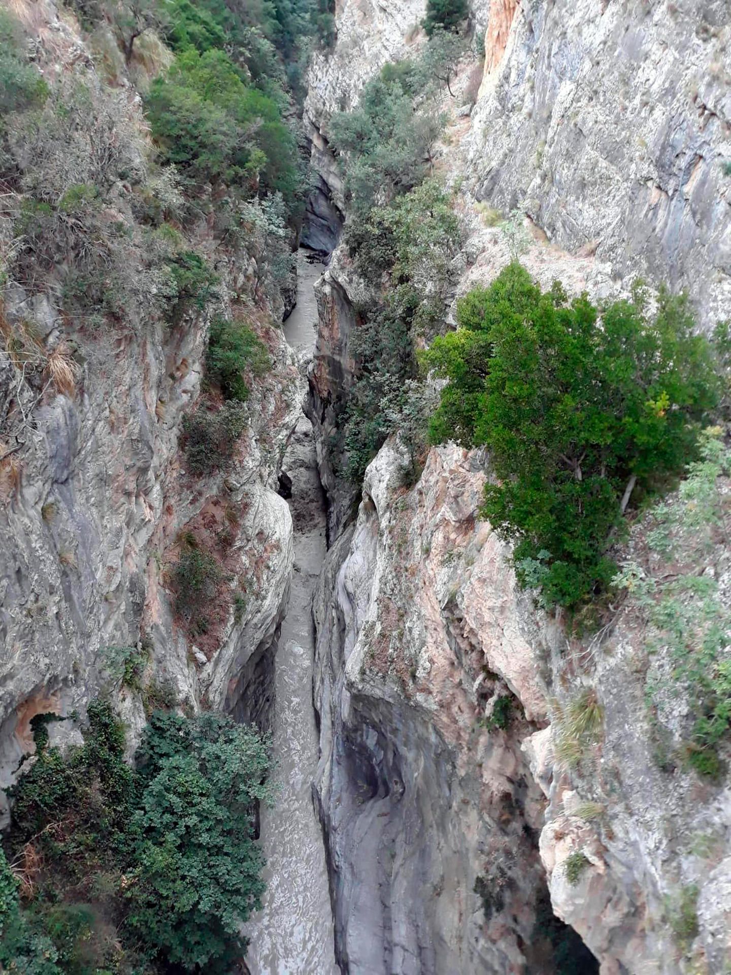 RAganello (1)