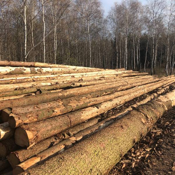 Holzvermarktung