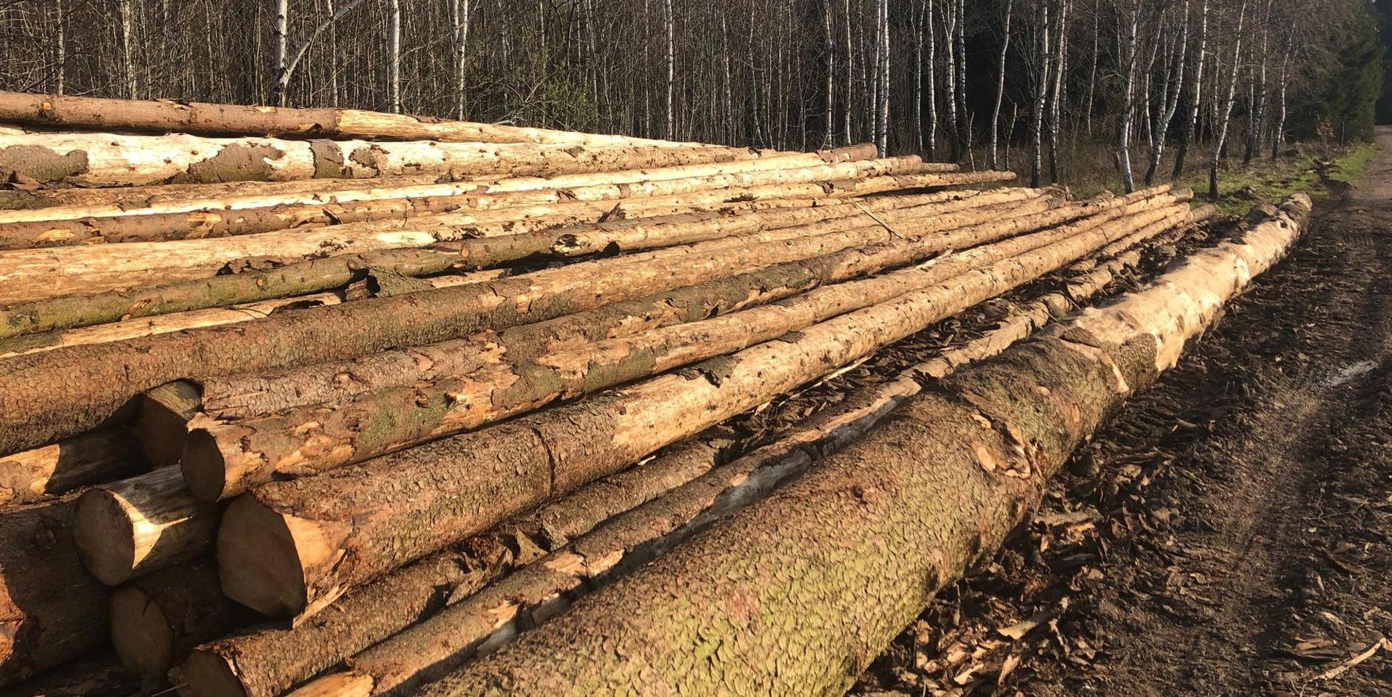 Holzvermarktung