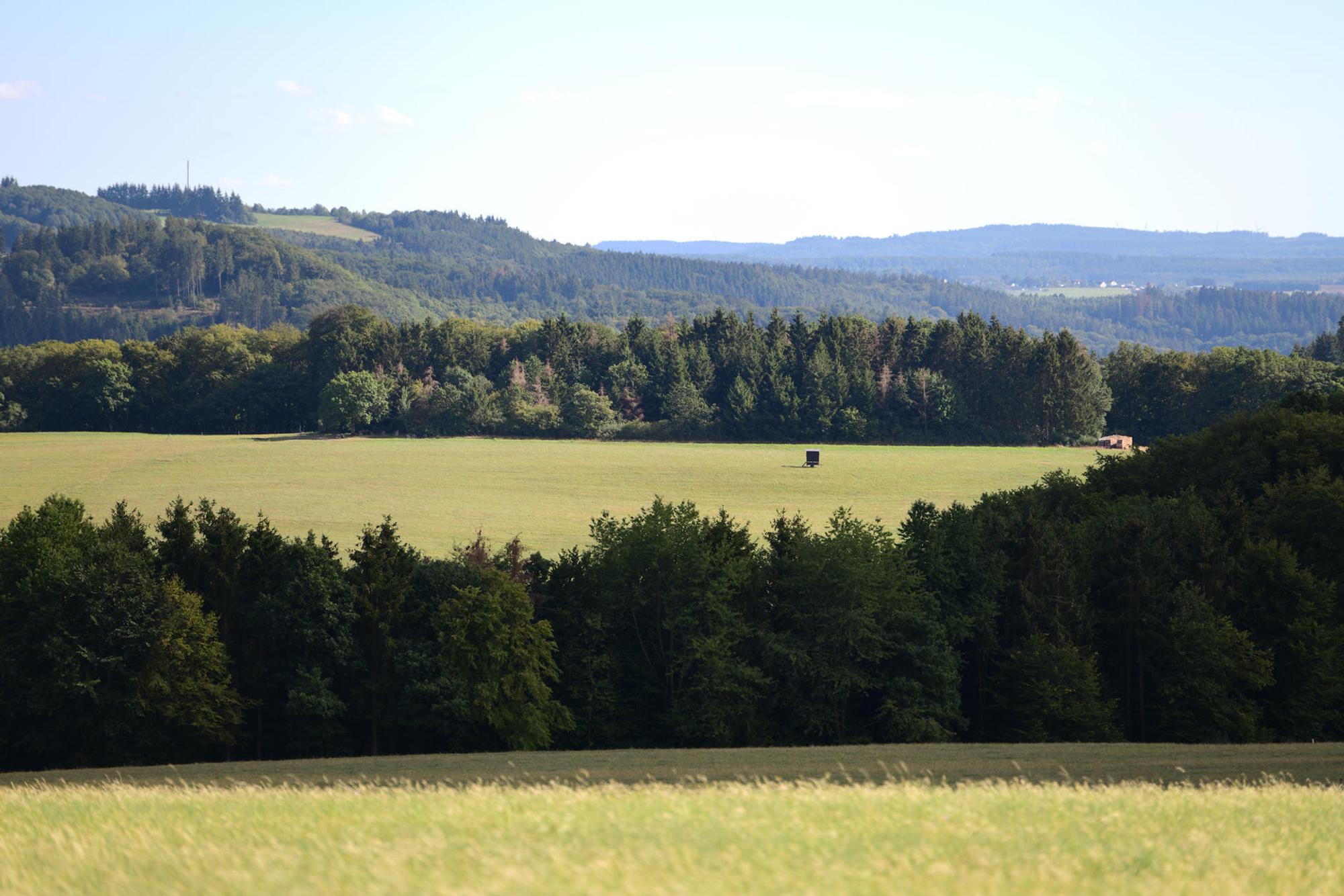 Peter Wohlleben Wanderung Olaf Wull Nickel Landschaft5