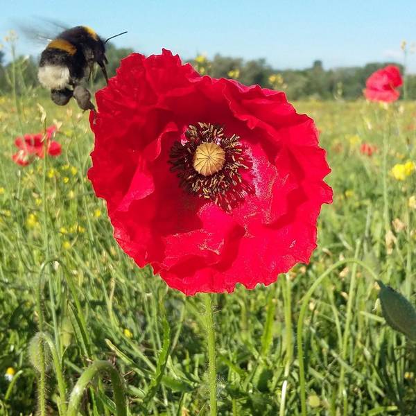 BN_Natur