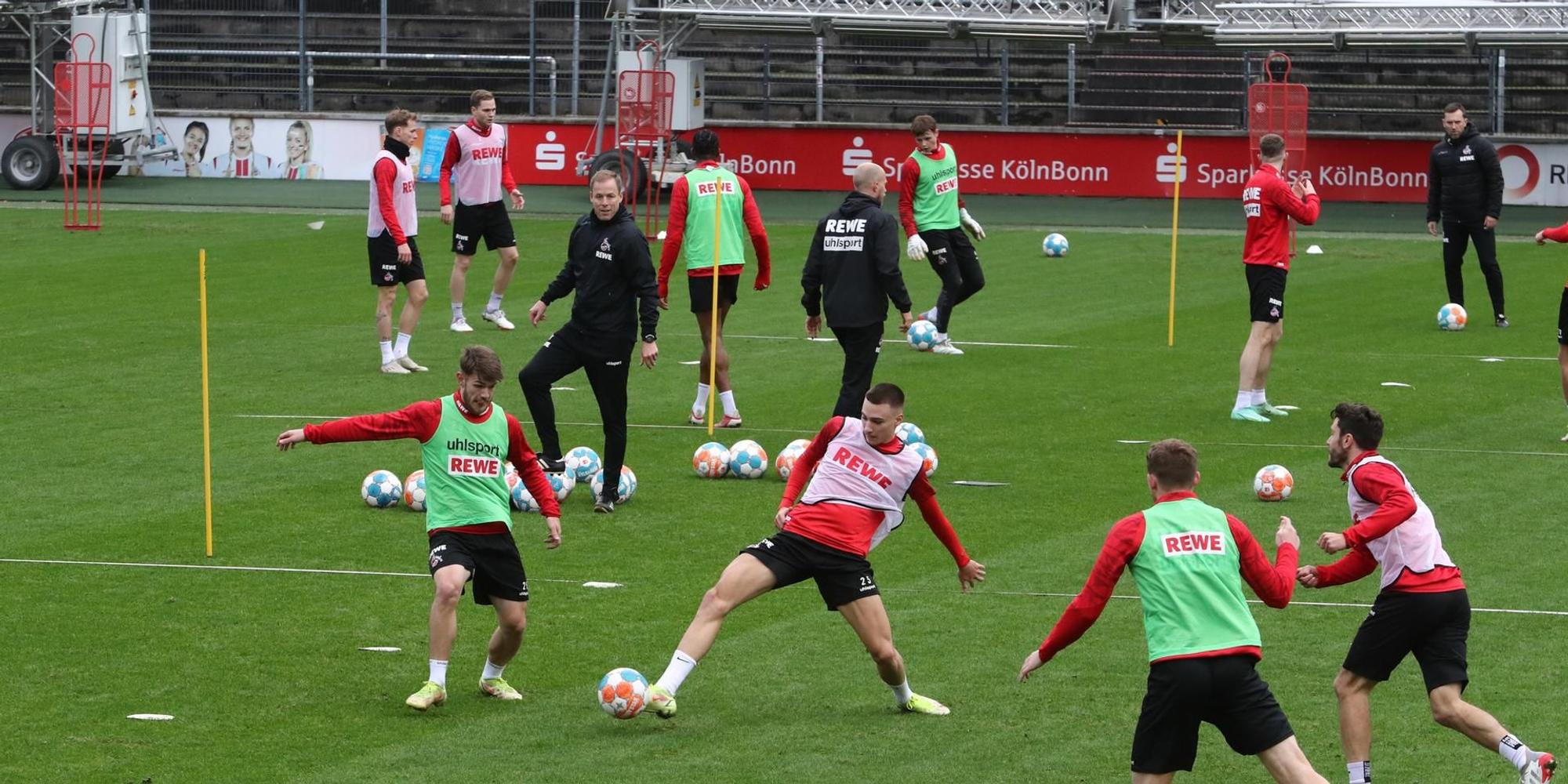 1.FC Köln Training 3. Januar