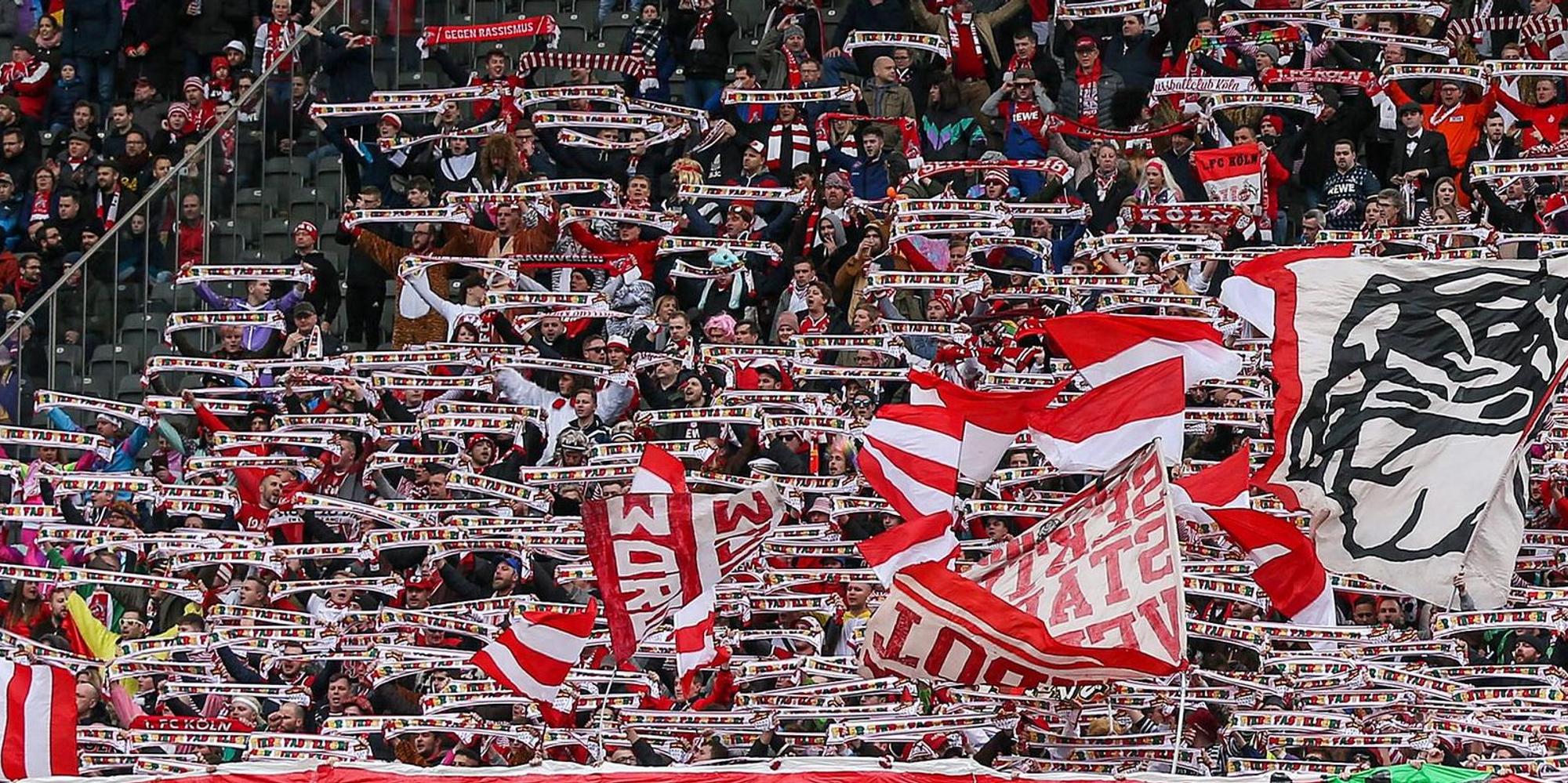 FC Fans