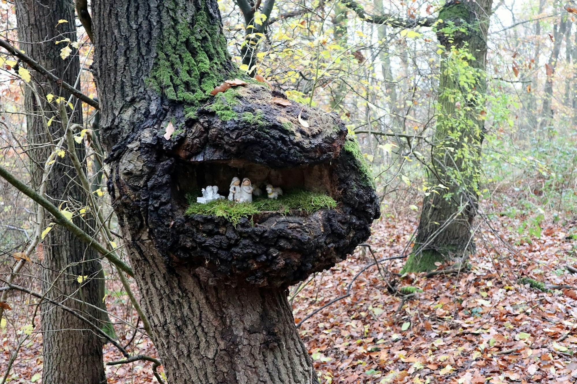 Keller KRippenweg Michael HEdrich