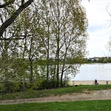 Bornheim_Auenwald_Rhein