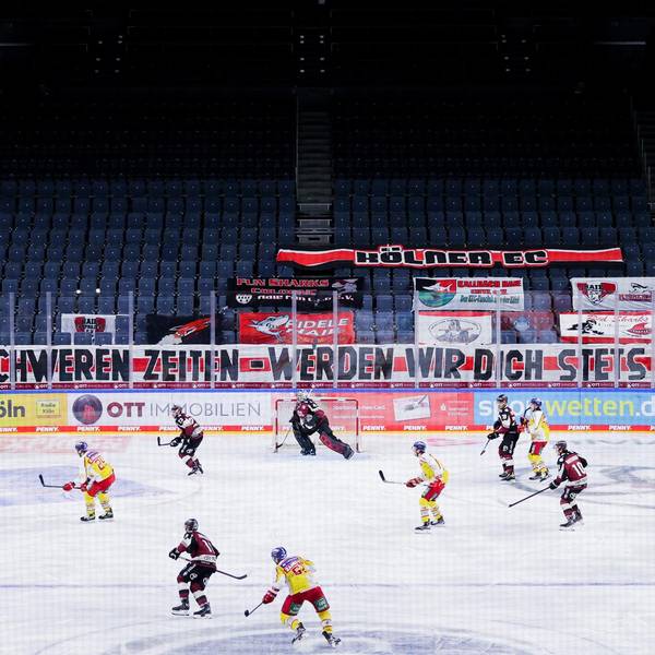 Haie gegen Düsseldorf