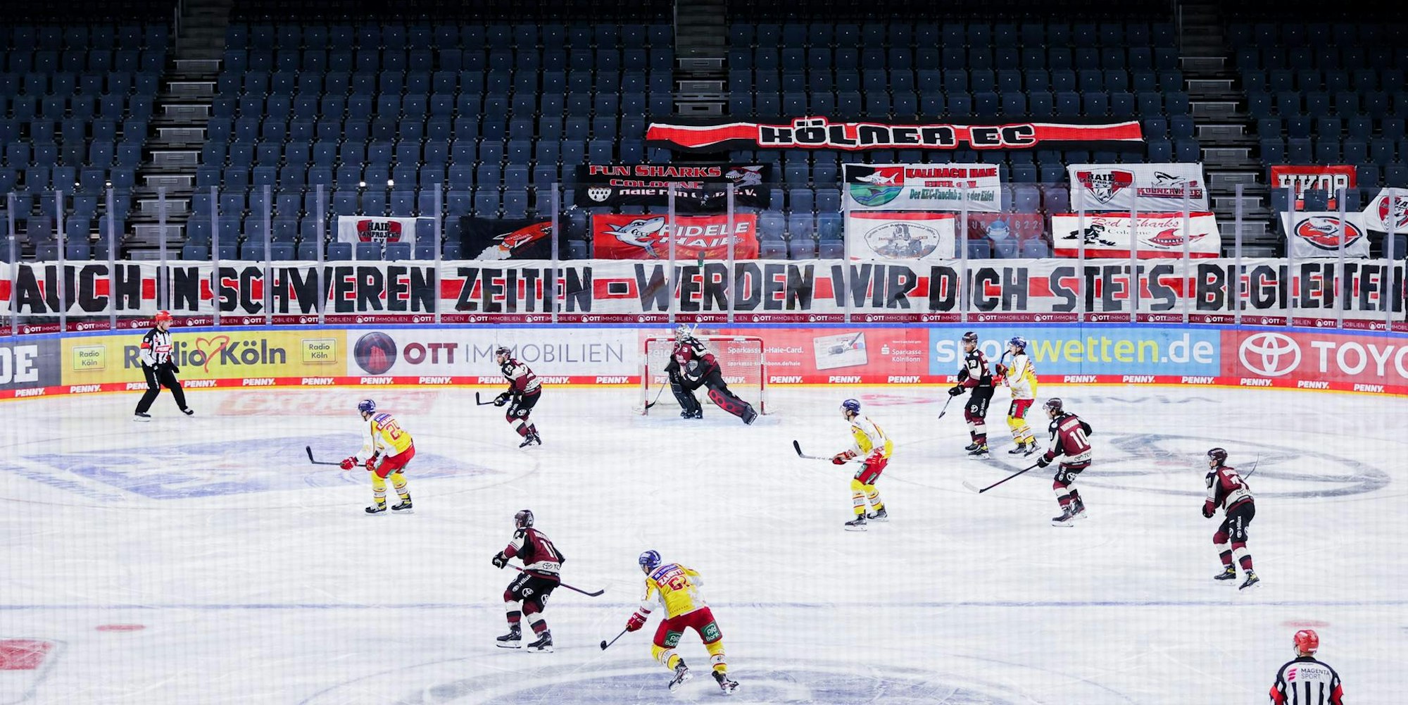 Haie gegen Düsseldorf