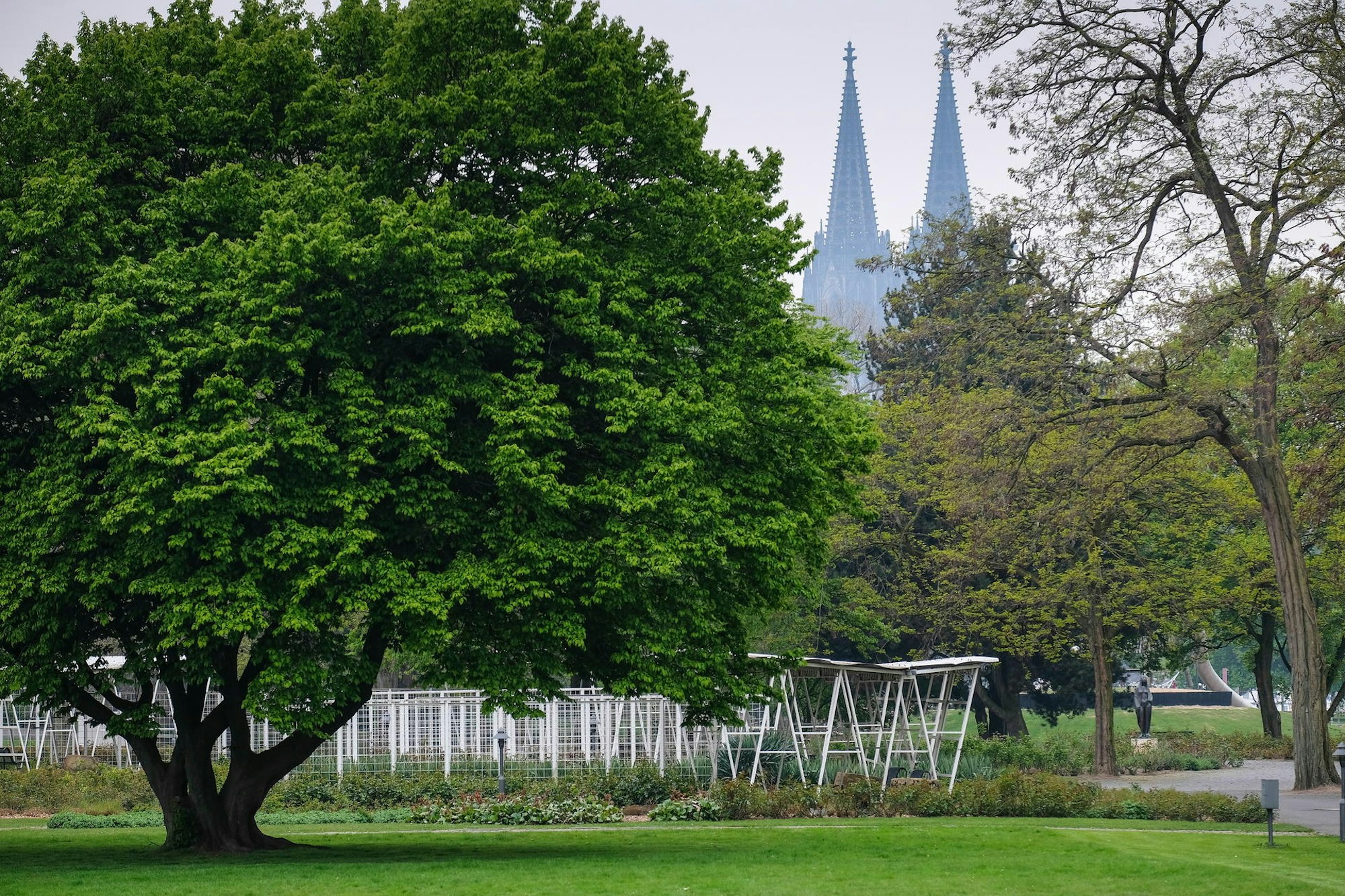 20170421_Rheinpark_HGM_05