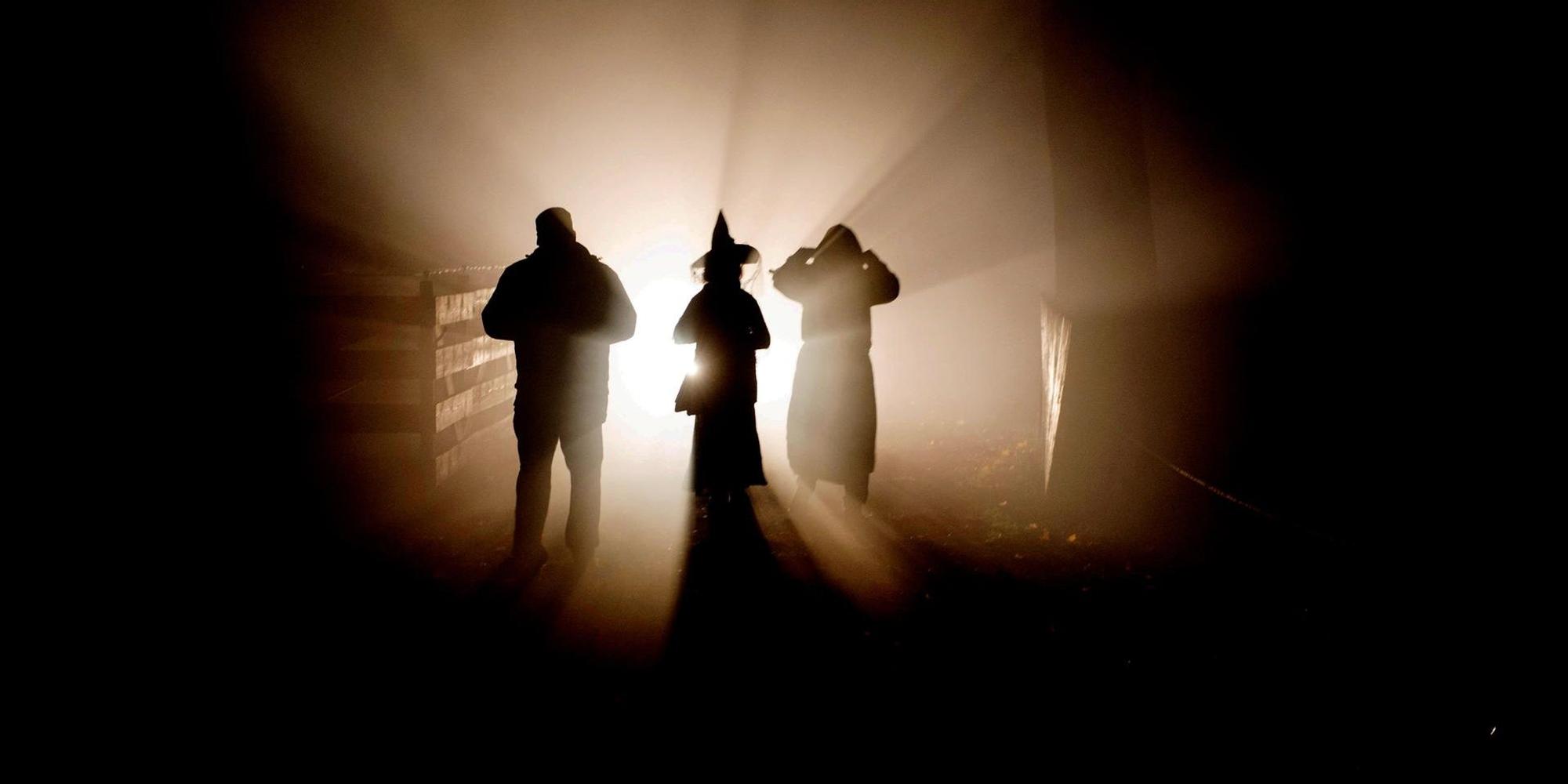 Geister und Hexen feiern auf Burg Satzvey Halloween. (1)