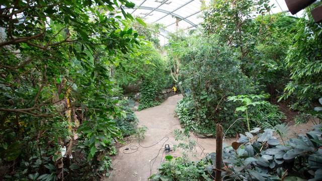 20220429_tb_Sanierung_Tropenhaus_002