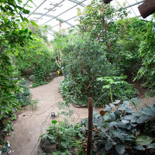 20220429_tb_Sanierung_Tropenhaus_002