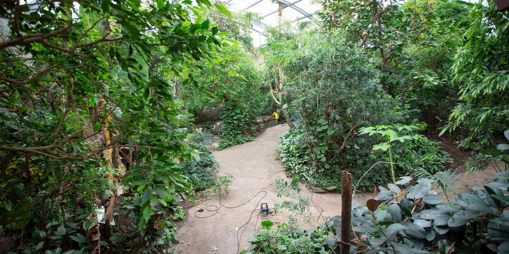 20220429_tb_Sanierung_Tropenhaus_002