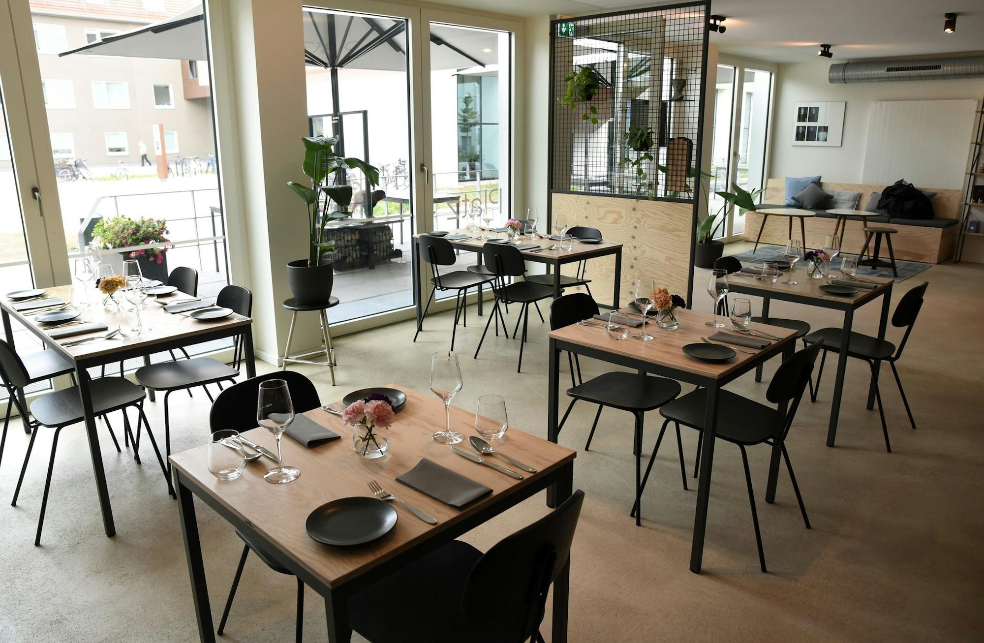 Platz 4_ Henn_ Rakoczy_3