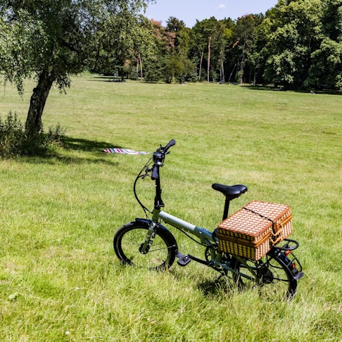 Picknick Stadtwald