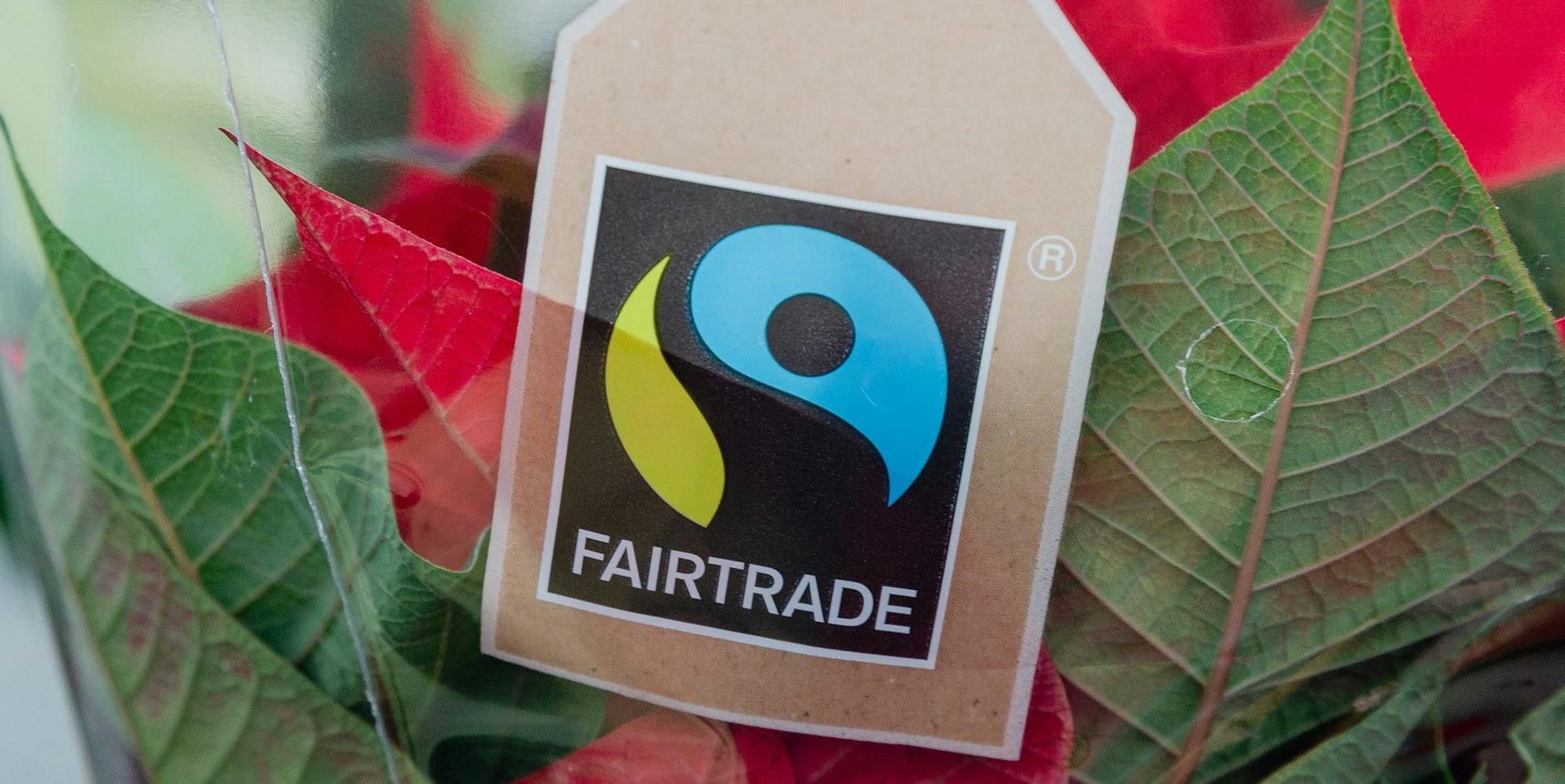 Fairtrade